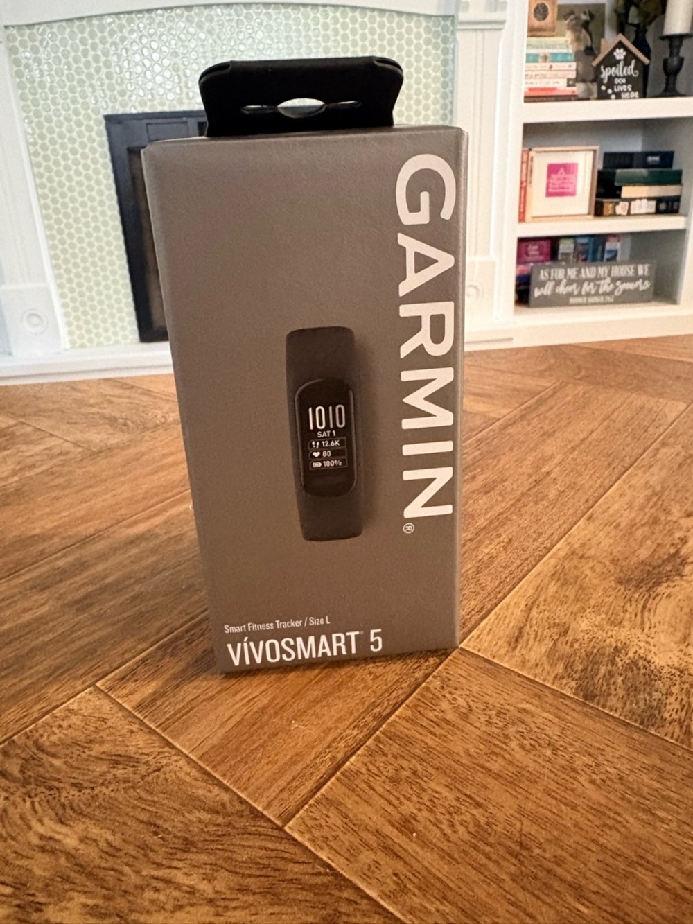 Garmin Vivosmart 5 Fitness Tracker - Gray Packaging